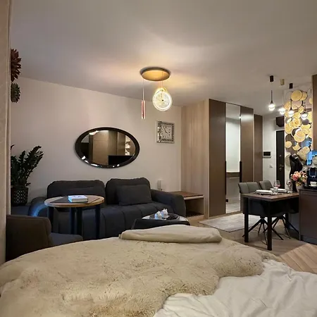 Apartament Czysta 151 *